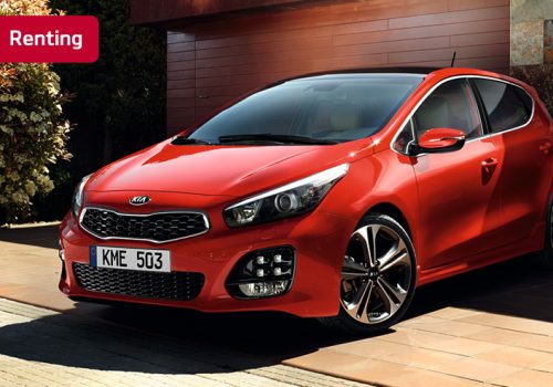 content_rentingv3_nuevo