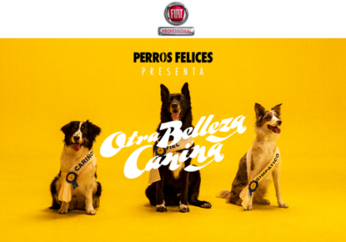 Fiat professional Evento perros felices