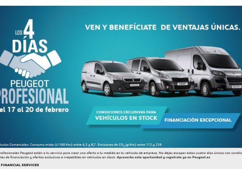 4 DÍAS PEUGEOT PROFESIONAL